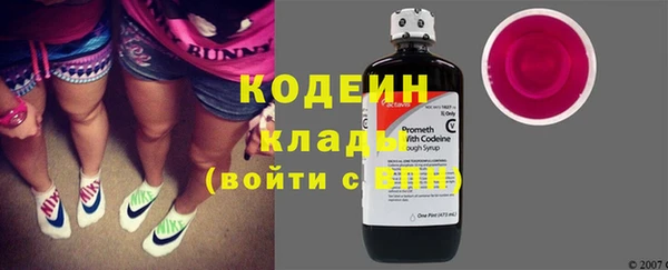 мяу мяу мука Иннополис