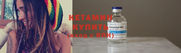 мяу мяу мука Иннополис