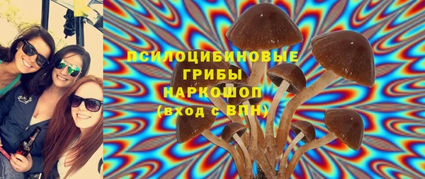 мяу мяу мука Иннополис