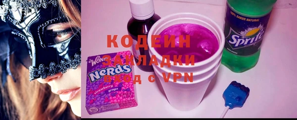 мяу мяу мука Иннополис