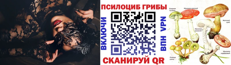 Галлюциногенные грибы Cubensis  Купить закладки  Торопец 